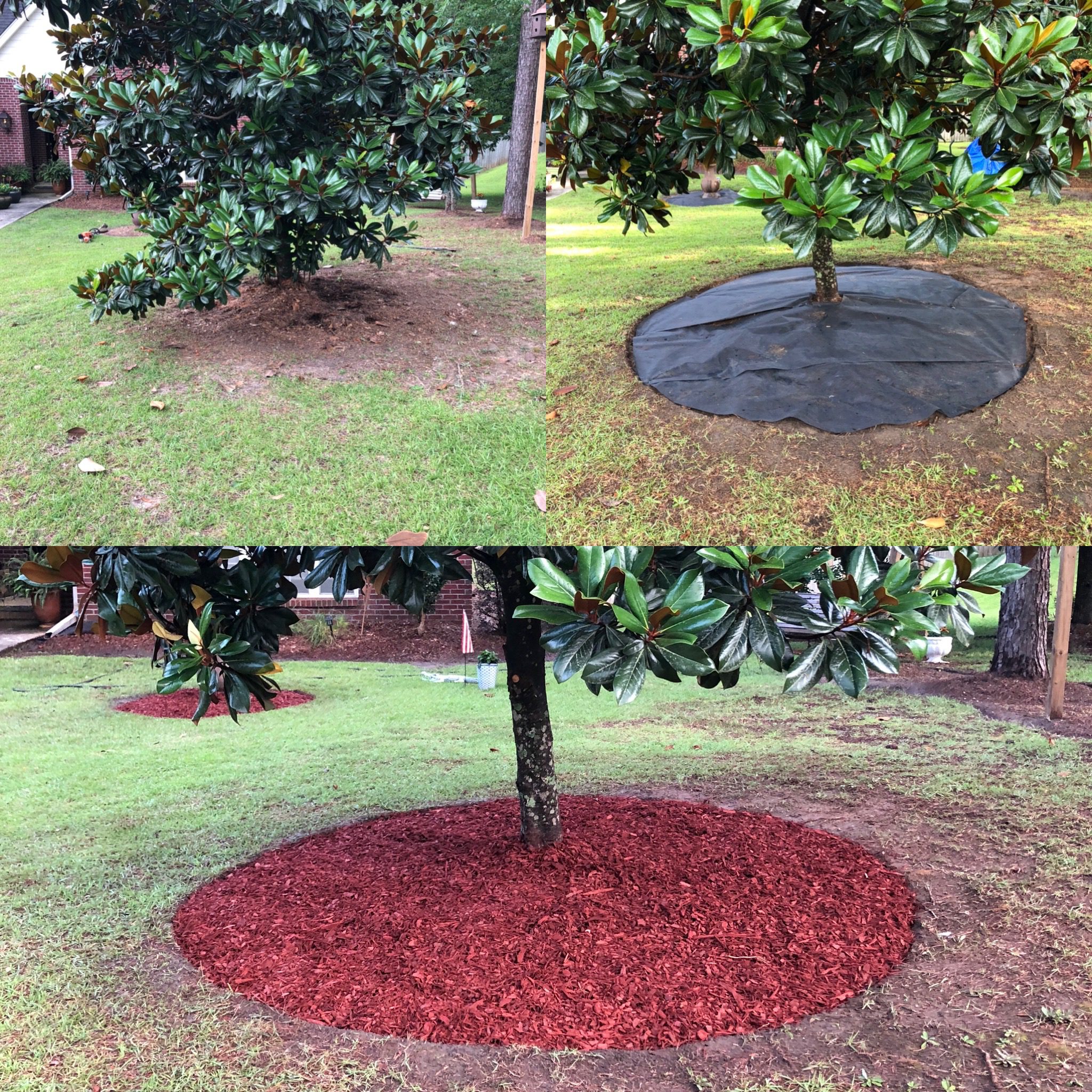 Tree ring creation with red mulch and weed barrier installation at Canebrake Home in Hattiesburg Mississippi
