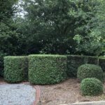 img 4041