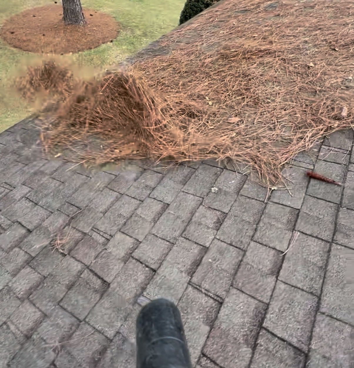 Blowing pine straw off of a roof in Hattiesburg Mississippi