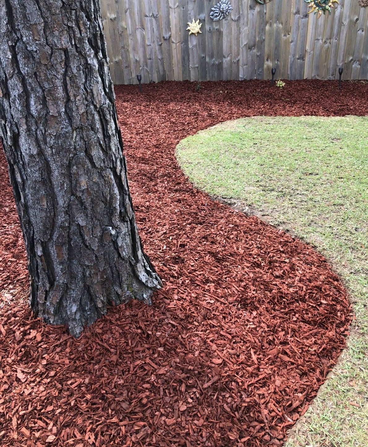 Fresh red mulch installation with natural edged grass border at house in Hattiesburg Mississippi