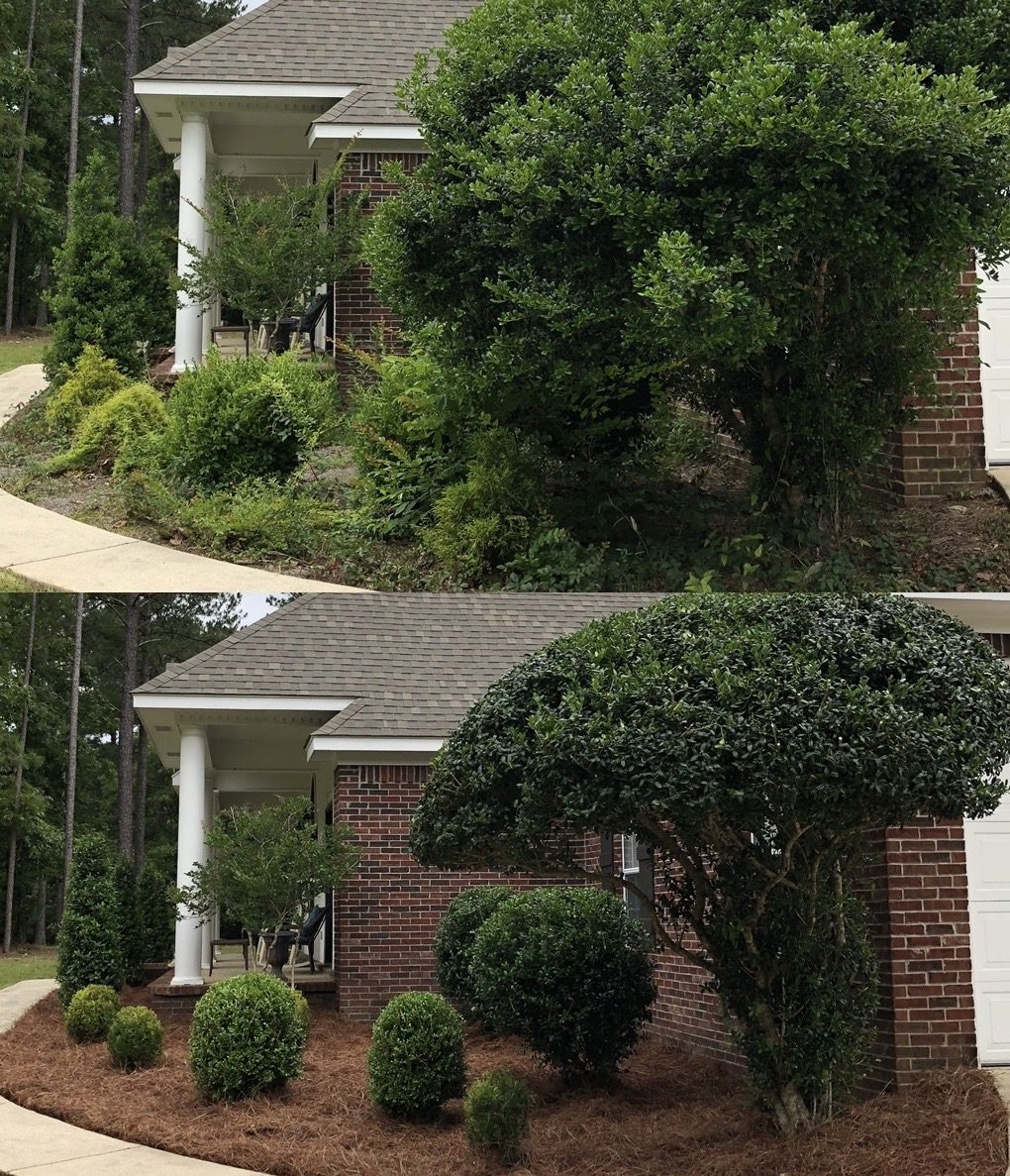 Before and after bush shaping and pine straw installation at Hattiesburg Home
